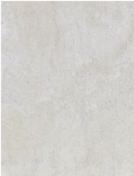 Andean White Travertine catalog swatch
